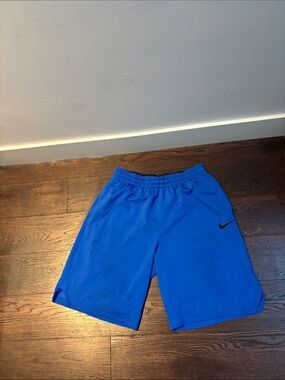 Nike Bright Blue Men’s Athletic Shorts with Black Swoosh